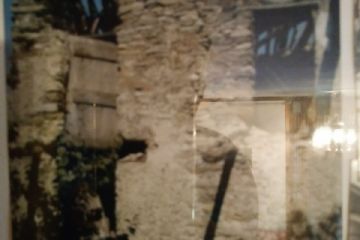 Sfoglia la galleria